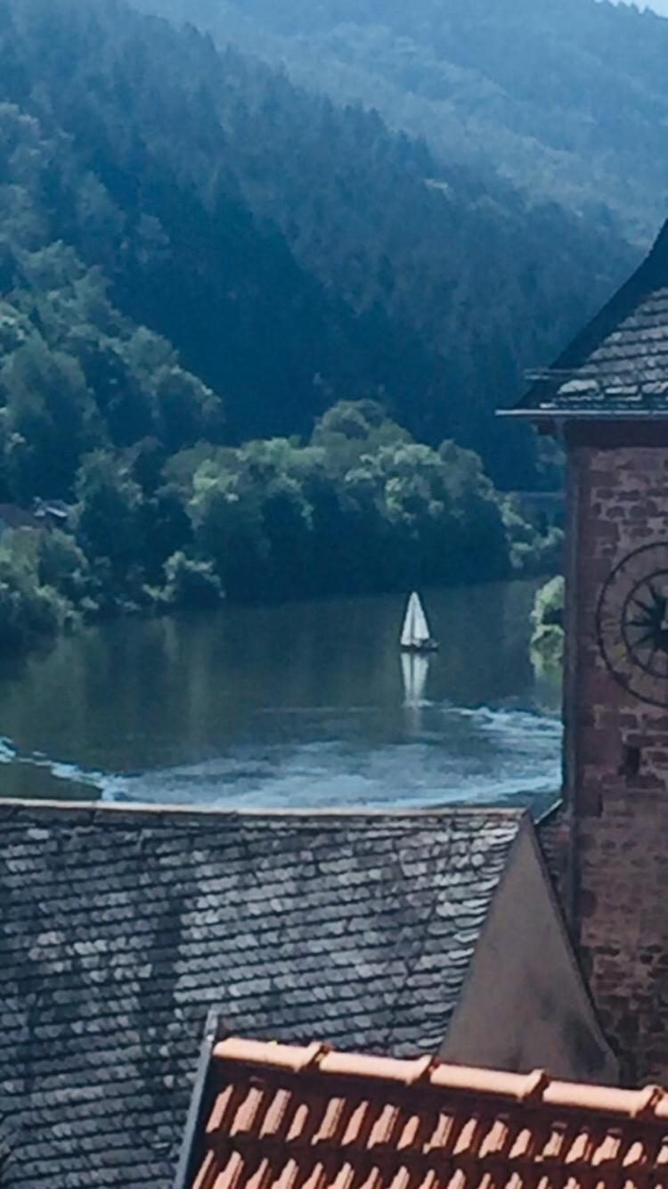 Natur Und Neckarblick Bei Heidelberg ฮิชฮอร์น ภายนอก รูปภาพ