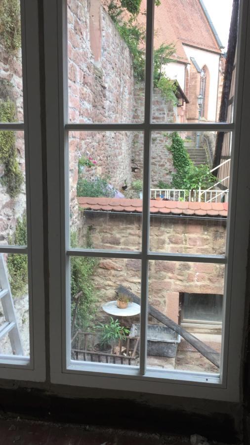 Natur Und Neckarblick Bei Heidelberg ฮิชฮอร์น ภายนอก รูปภาพ