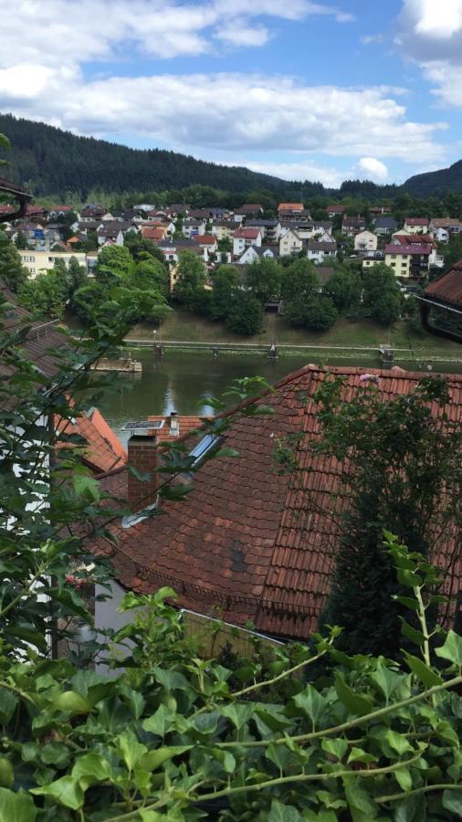 Natur Und Neckarblick Bei Heidelberg ฮิชฮอร์น ภายนอก รูปภาพ