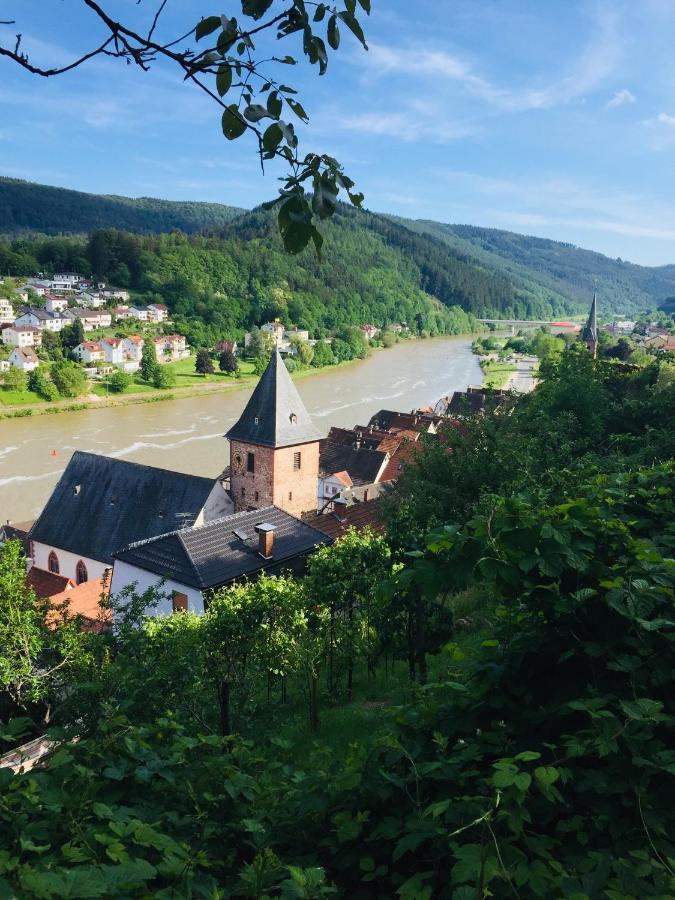 Natur Und Neckarblick Bei Heidelberg ฮิชฮอร์น ภายนอก รูปภาพ