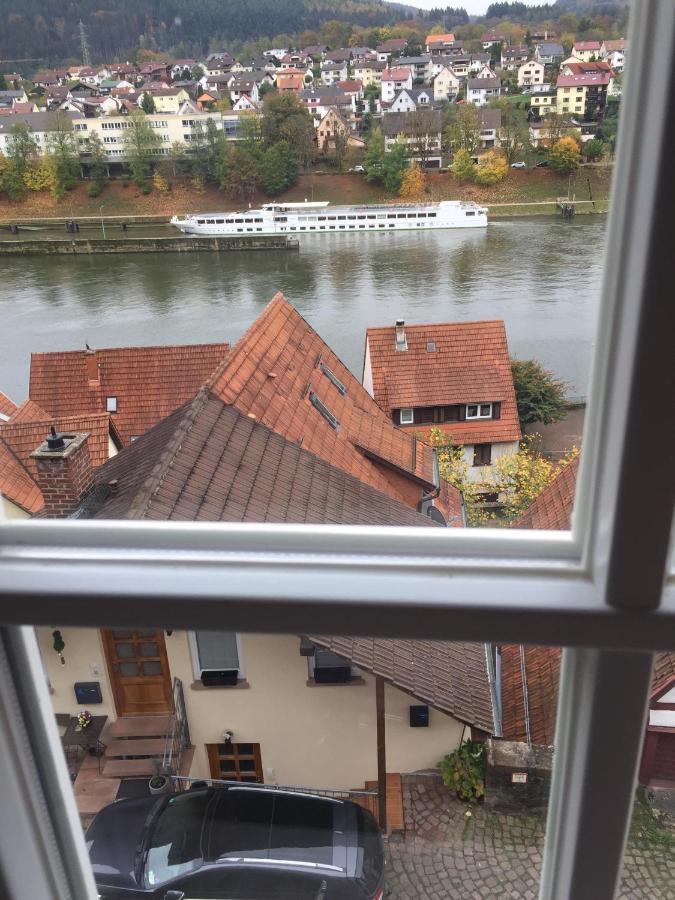 Natur Und Neckarblick Bei Heidelberg ฮิชฮอร์น ภายนอก รูปภาพ