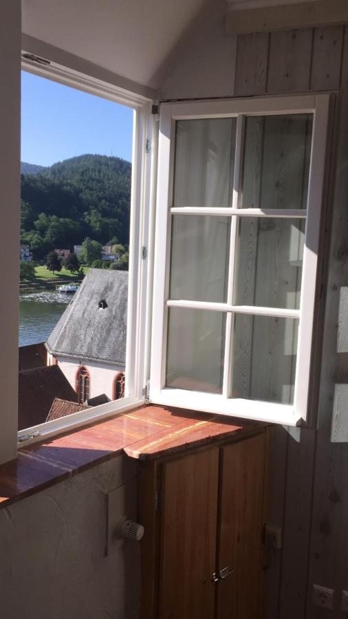 Natur Und Neckarblick Bei Heidelberg ฮิชฮอร์น ภายนอก รูปภาพ