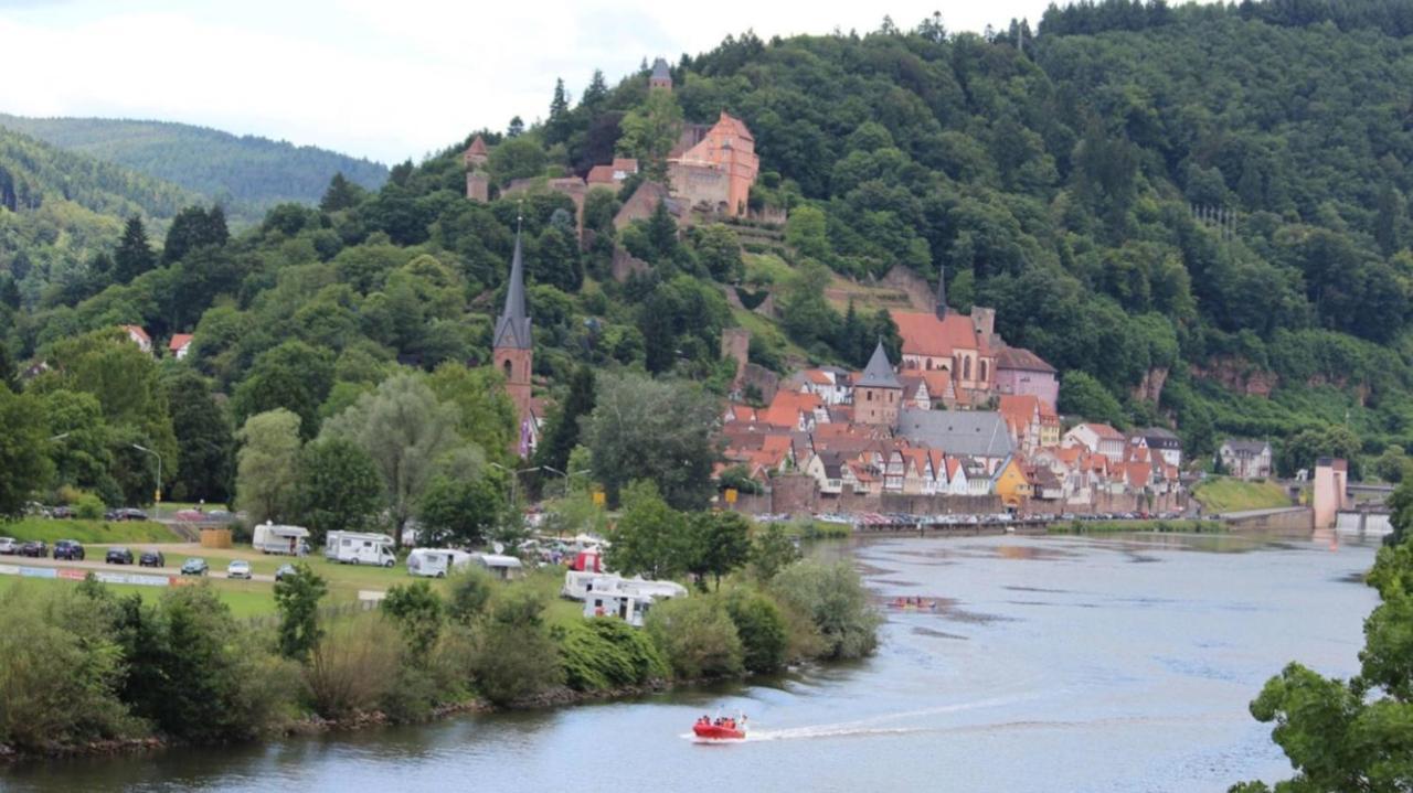 Natur Und Neckarblick Bei Heidelberg ฮิชฮอร์น ภายนอก รูปภาพ