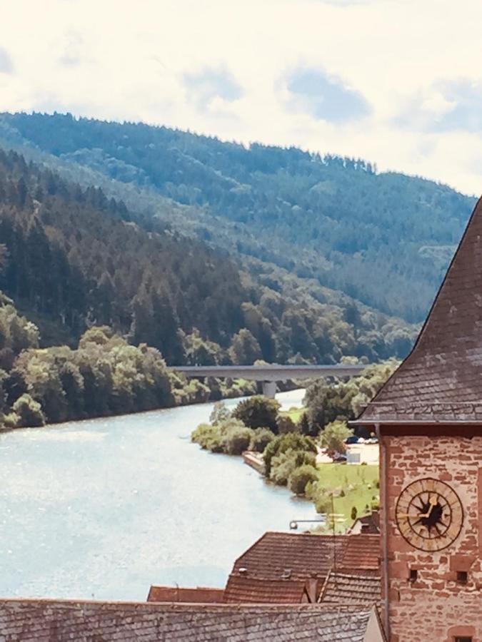 Natur Und Neckarblick Bei Heidelberg ฮิชฮอร์น ภายนอก รูปภาพ