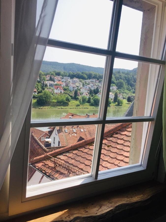 Natur Und Neckarblick Bei Heidelberg ฮิชฮอร์น ภายนอก รูปภาพ
