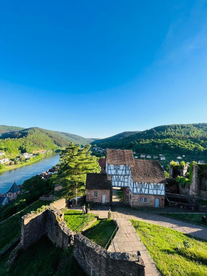 Natur Und Neckarblick Bei Heidelberg ฮิชฮอร์น ภายนอก รูปภาพ