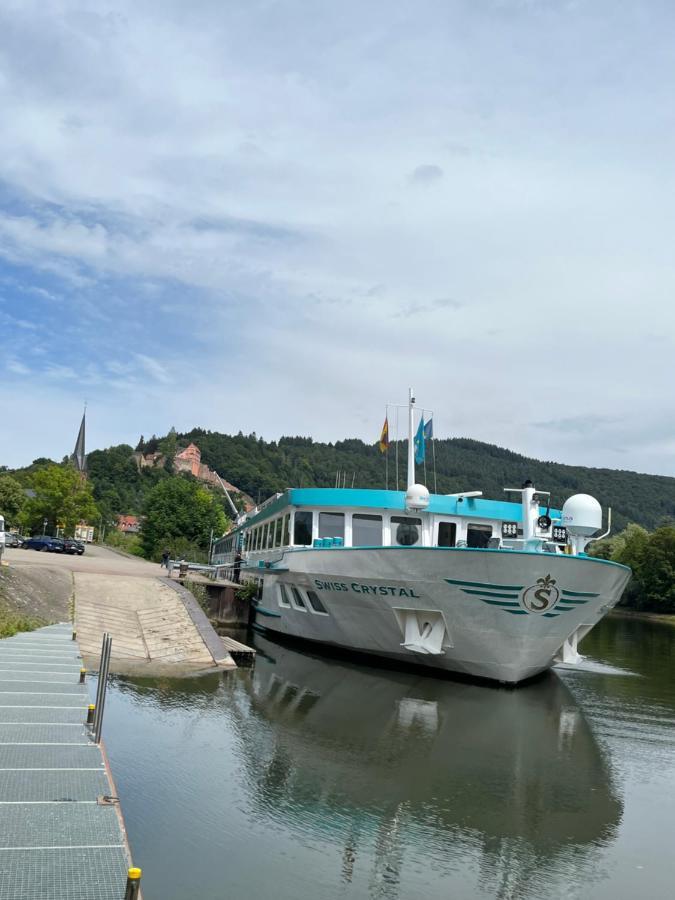 Natur Und Neckarblick Bei Heidelberg ฮิชฮอร์น ภายนอก รูปภาพ