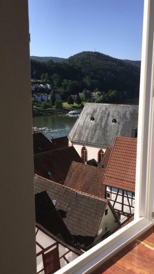 Natur Und Neckarblick Bei Heidelberg ฮิชฮอร์น ภายนอก รูปภาพ