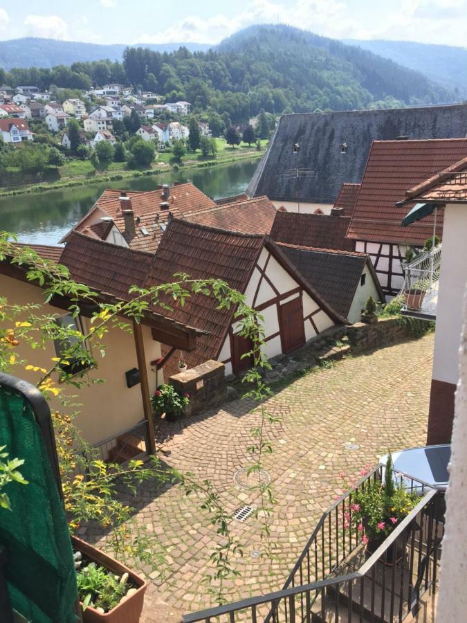 Natur Und Neckarblick Bei Heidelberg ฮิชฮอร์น ภายนอก รูปภาพ